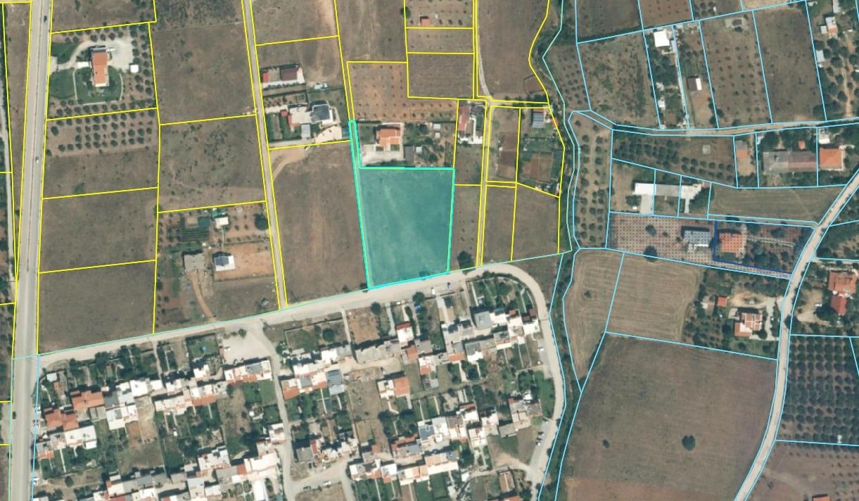 Στιγμιότυπο οθόνης 2024-11-13 105302